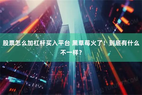 股票怎么加杠杆买入平台 黑草莓火了！到底有什么不一样？