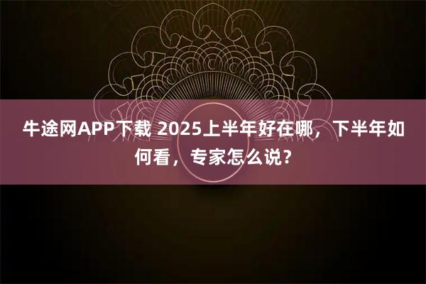 牛途网APP下载 2025上半年好在哪，下半年如何看，专家怎么说？